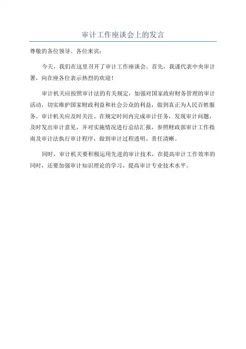 审计工作座谈会上的发言
