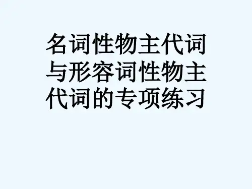形容词性和名词性物主代词专项练习