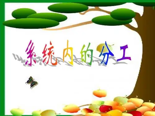 人教版教学课件云南省弥勒县庆来中学2011-2012学年高一生物系统内的分工课件