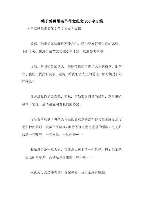 关于感恩母亲节作文范文800字5篇