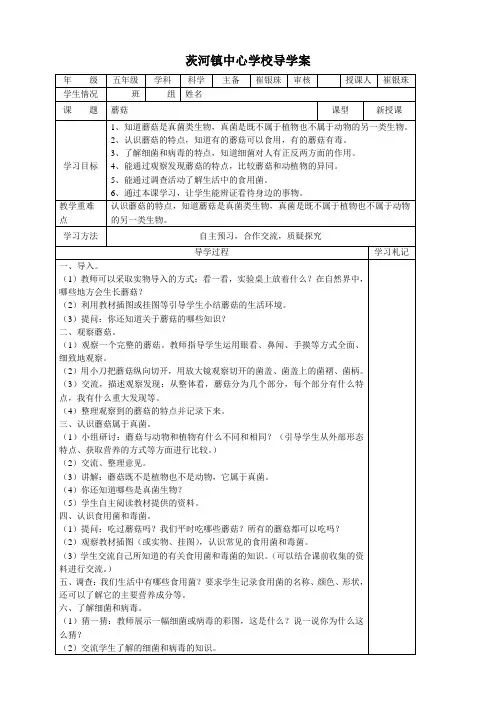 蘑菇