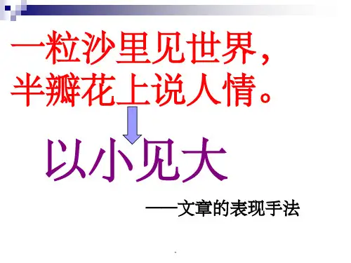以小见大表现手法课件