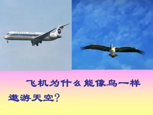 飞机为什么能飞上天