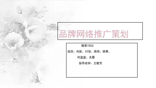 品牌网络推广策划方案ppt课件(76张)