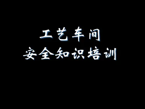 工艺车间级安全培训课件