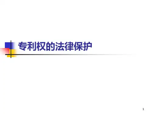 专利权的法律保护 PPT课件