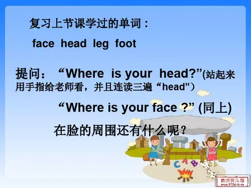 人体五官教学