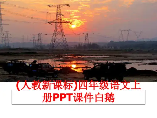 最新(人教新课标)四年级语文上册PPT课件白鹅