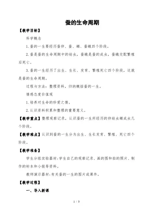三年级科学下册-蚕的生命周期
