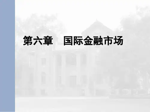 第六章_国际金融市场