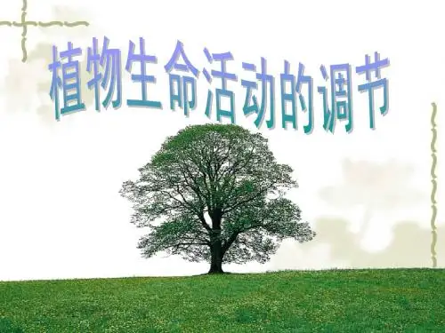 3.1植物生长素的发现10.10