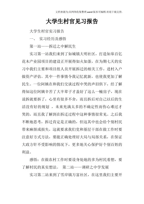 大学生村官见习报告