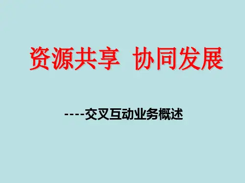 大型保险公司交叉互动业务概述