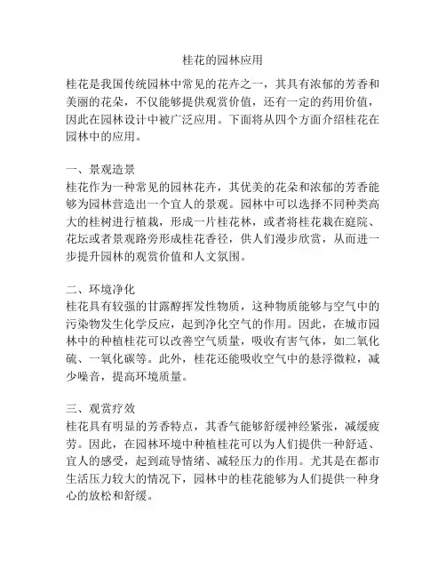 桂花的园林应用