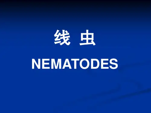 线虫概论.