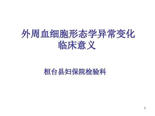 血细胞形态学异常变化PPT课件