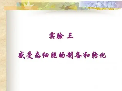 感受态细胞的制备和转化