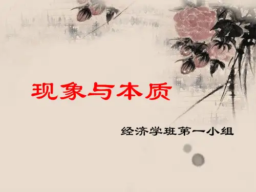 现象与本质