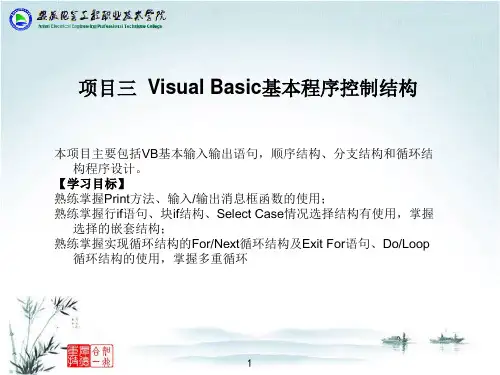 项目三Visual Basic基本程序控制结构