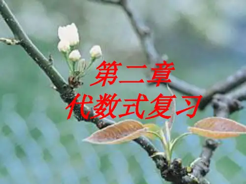 代数式复习PPT