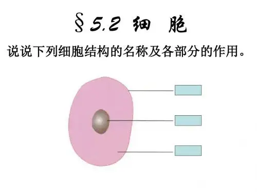七年级科学细胞2