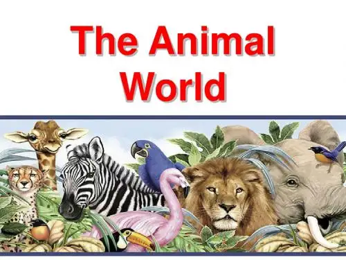 Animals