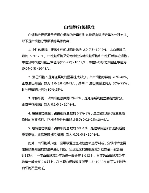 白细胞分级标准