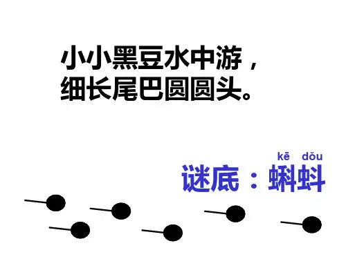 二年级上册语文课件课文(一)小蝌蚪找妈妈 人教部编版