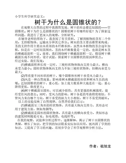小学生科学研究论文
