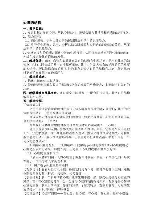 心脏的结构