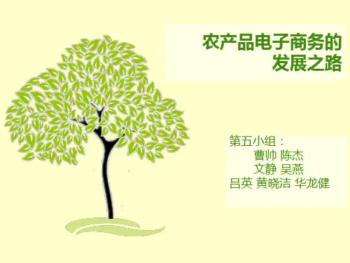 农产品电子商务简介