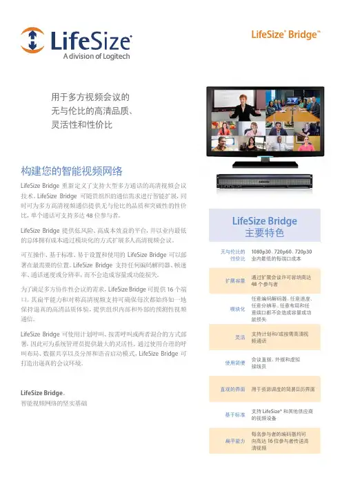 LifeSize_Bridge_Datasheet_SCH
