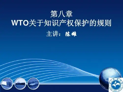 WTO第八章