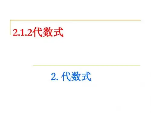2.1.2代数式