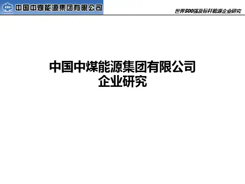 中煤集团管控研究