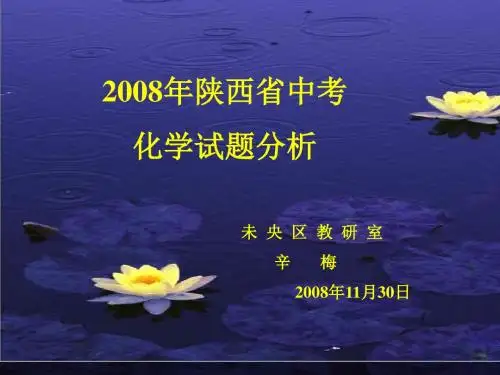 2008年中考化学试题分析-化学