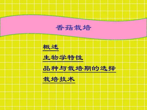 香菇栽培技术讲解