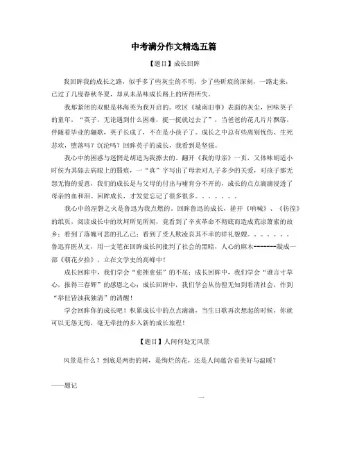 天津中考满分作文精选5篇 (25)