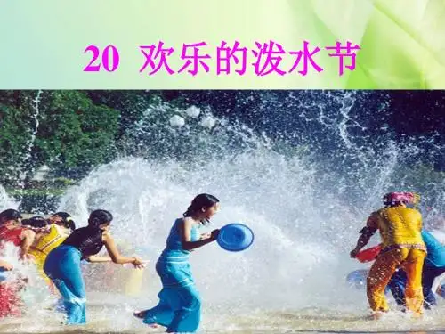 最新审定苏教版二年级语文下册《欢乐的泼水节》PPT课件6
