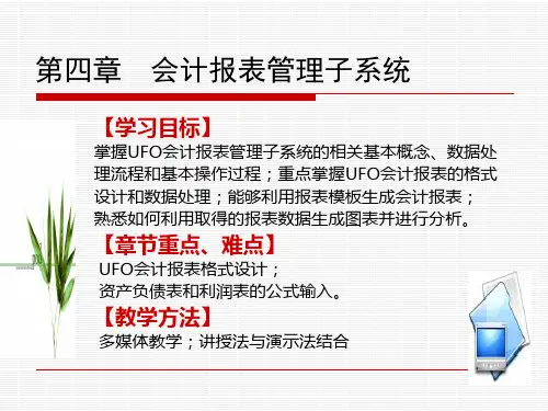 合并会计报表资产负债表和利润表模板.