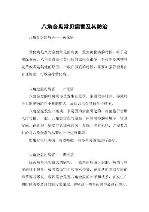 八角金盘常见病害及其防治