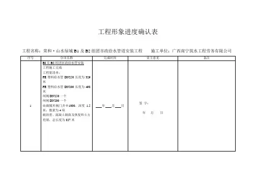 工程形象进度确认表