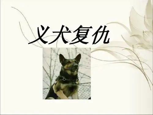 北京版五年级语文下册《义犬复仇 4》PPT课件