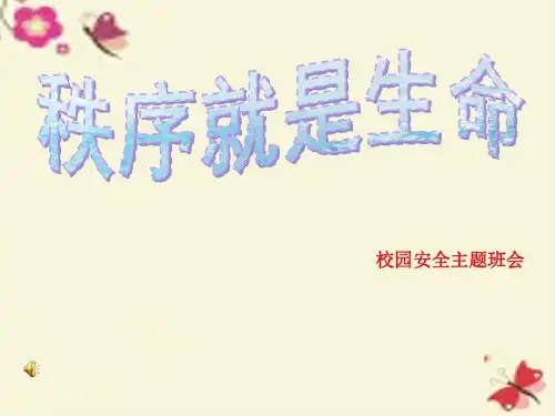 安全教育班会秩序就是生命校园安全主题班会共28页文档