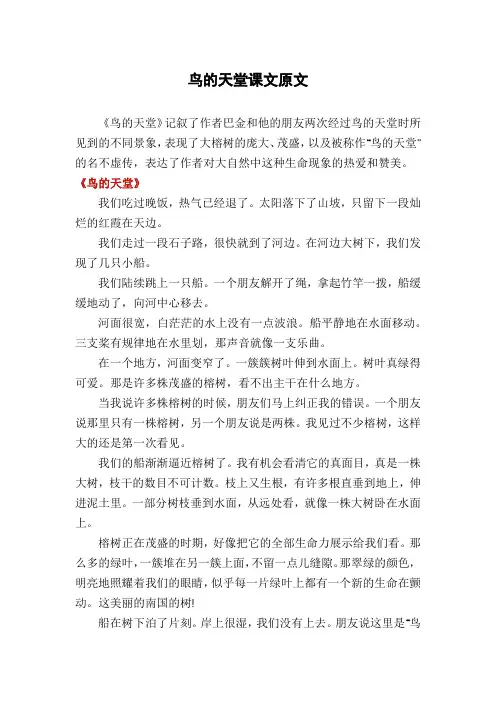 鸟的天堂课文原文