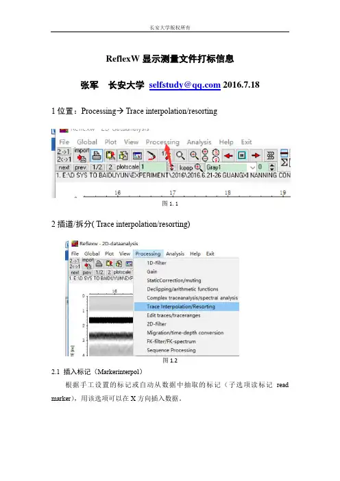 ReflexW显示打标标记