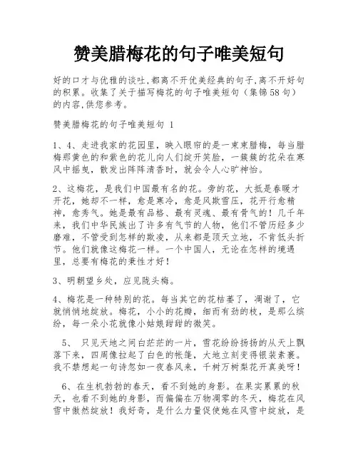 赞美腊梅花的句子唯美短句