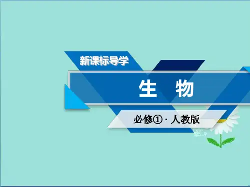 高一生物人教版必修一课件第1章 第2节 细胞的多样性和统一性
