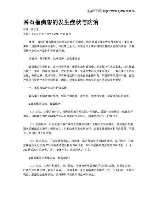 番石榴病害的发生症状与防治