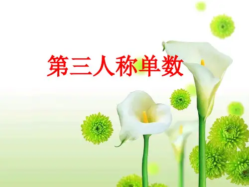 第三人称单数